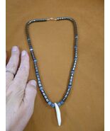 (W30-17) 1-1/2&quot; real COYOTE wild dog T**th 6x6mm hematite bead 21&quot; NECKLACE - €36,91 EUR