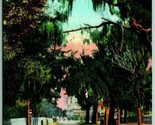 King Street View And Cordova St Augustine Florida FL 1908 DB Postcard F9 - $3.91