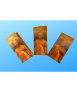 3 Pack Chaplet of Divine Mercy Bifold Prayer Card - $236.54 MXN