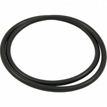 Hayward CX900F Filter Head O-Ring - $61.11 CAD