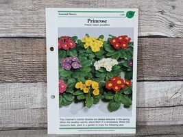 Primrose Card #50 Success W/House Plants 1985 Single Replacement Fold Ou... - £2.63 GBP