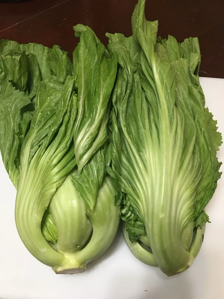 200+Seeds Chinese Mustard Shuidong Gai Choi Shealihong) - £3.45 GBP