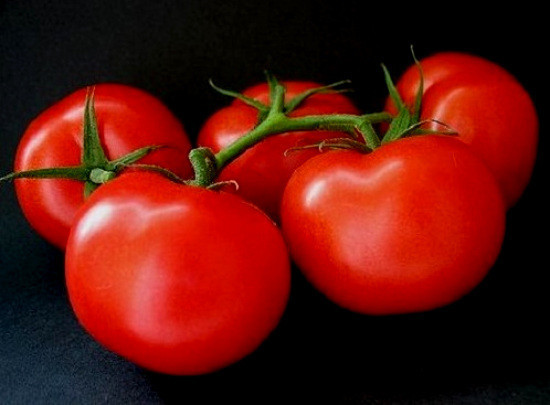 1/4 Oz Tomato Seed Ace 55 Tomato Seed Low Acid Tomato 2500 New Fresh US ... - $15.50