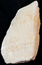 BIG Honey Yellow &amp; White Calcite Crystal Specimen Mexico Nice Display 3 ... - £27.81 GBP