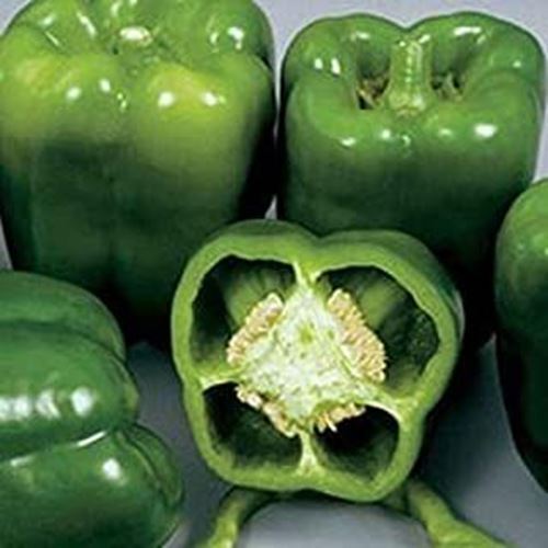PM Colossal Hybrid F1 Sweet Bell Pepper Seeds - Pepper Stays Firm and Cr... - $3.98