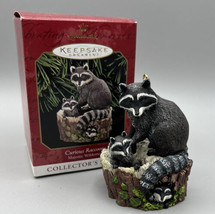 Hallmark Keepsake Ornament Curious Raccoons QX6287 Signed #3 1999  Indonesia - £14.16 GBP