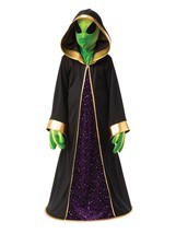 Rubies Opus Collection Childs Alien Costume, Medium - £75.55 GBP