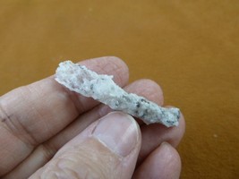 (r365-55) 1-3/4&quot; Fulgurite lightning strike beach sand glass Georgia fulgurites - $15.42