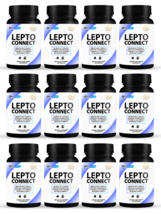 12 Pack Lepto Connect, increases energy &amp; suppress appetite-60 Capsules x12 - £254.45 GBP