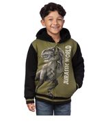 Jurassic World Boys Girls Hoodie Multicolor Plush Pockets Full-Zip Unive... - $742.27 MXN