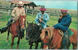 Paniolos Hawaiian Cowboys w Leis Hats United Airlines Postcard 1970 - £13.90 GBP