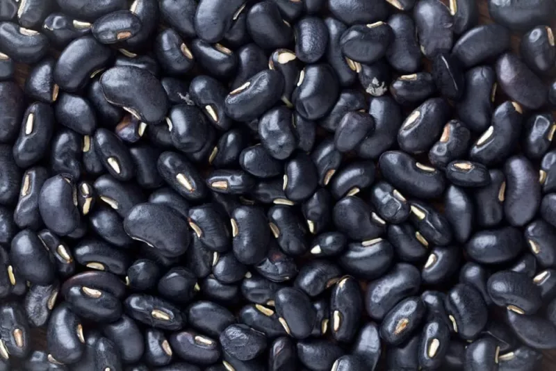 Black Bean Seeds 30 Seeds Easy to Grow Very Healthy - £10.04 GBP