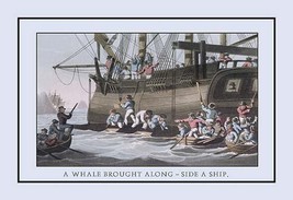 A Whale Brought Along-Side a Ship by J.H. Clark - Art Print - £17.37 GBP+