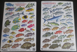 FLASHCARDS FISHWATCHER&#39;S FIELD GUIDE &amp; GAMEFISHES TROPICAL ATLANTIC &amp; CA... - $7.18