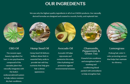 Emera Nourishing Shampoo, Conditioner and Serum Trio by Earthly Body image 4