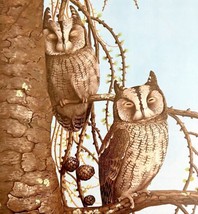 Scops Owl Resting Art Print Color Plate Birds Of Prey Vintage Nature 197... - $34.99