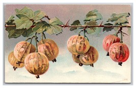 Cluster of Gooseberries on Vine Embossed Gilt UNP DB Postcard Z5 - £3.55 GBP