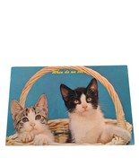 Postcard Kittens In Basket Cats When Do We Eat? Chrome Posted - $76.72 MXN
