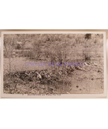 Walton NY Beaver Dam Old Real Photograph RPPC - $4.00