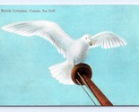 A British Columbia Seagull Taking Flight BC Canada UNP DB Postcard H16  - $3.51