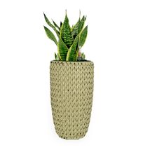 Catleza 10.6&quot; Self-Watering Wicker Planter - Garden Decoration Pot - Beige - Rou - $36.98