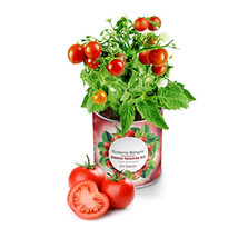 My Canned Garden Seedling Growing Kit Tomato - £21.58 GBP