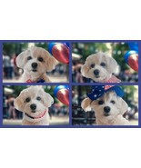 4th Of July Pet Costumes Hat Tie Collar Fur Collar - $6.99