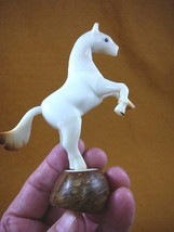 TNE-HORS-427A) little white Stallion rearing Horse tagua nut carving col... - $42.51