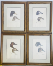Al Dornisch Duck Heads Ltd Ed Prints Set Of 4 337/950 Signed 1970s Vtg Waterfowl - £192.61 GBP