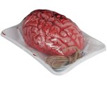 Loftus International Bloody Brain in Butcher Tray 7.5" Decoration Prop P... - $12.84