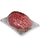 Loftus International Bloody Brain in Butcher Tray 7.5" Decoration Prop P... - $12.84