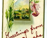 Greetings from Amaha Nebraska Postcard OMAHA  1913 error - $11.88