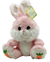 Sugarloaf Kellytoy Bunny Plush Pink Rabbit Carrot Feet Easter Pink Eyes Stuffed - £17.51 GBP