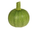 15 Round Zucchini Summer Squash Seeds Non Gmo #Zucchiniseeds Fast Shipping - $8.99