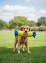 Dubble Bubble Dog Toy – Durable Pet Chew Toy for Small &amp; Medium Dogs – New - $25.63