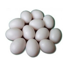 Dummy Plastic Poultry Eggs (Large) - £13.44 GBP