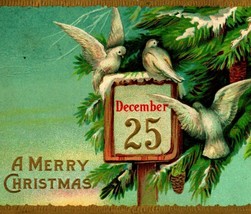 Pine Baugh Doves A Merry Christmas Gilt Embossed 1910s DB Postcard - £5.38 GBP