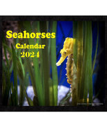 Seahorse Calendar 2024 Seahorse Picture Calendar Seahorse 2024 Planner O... - £21.26 GBP