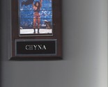 CHYNA PLAQUE WRESTLING WWE WWF - £3.20 GBP