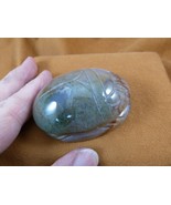 (Y-SCA-713) Green tan jasper Scarab beetle bug gemstone Egyptian bugs fi... - $444.00 MXN