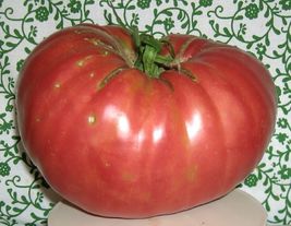 20 Seeds Tomato Meaty Dutchman Beefsteak Heirloom One Of The Largests Cultivars - £13.36 GBP