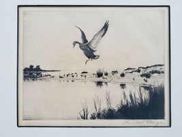 Signed Churchill Ettinger  Mallard Duck Goose Framed Art Etching Maine Vermont - £175.83 GBP