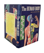 The Human Body What It Is and How It Works Wilson De Witt Golden Press 1... - $32.68