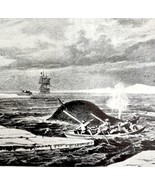 Attaching Whale With Harpoon 1926 Nautical Antique Print Whale Hunting D... - $474.98 MXN
