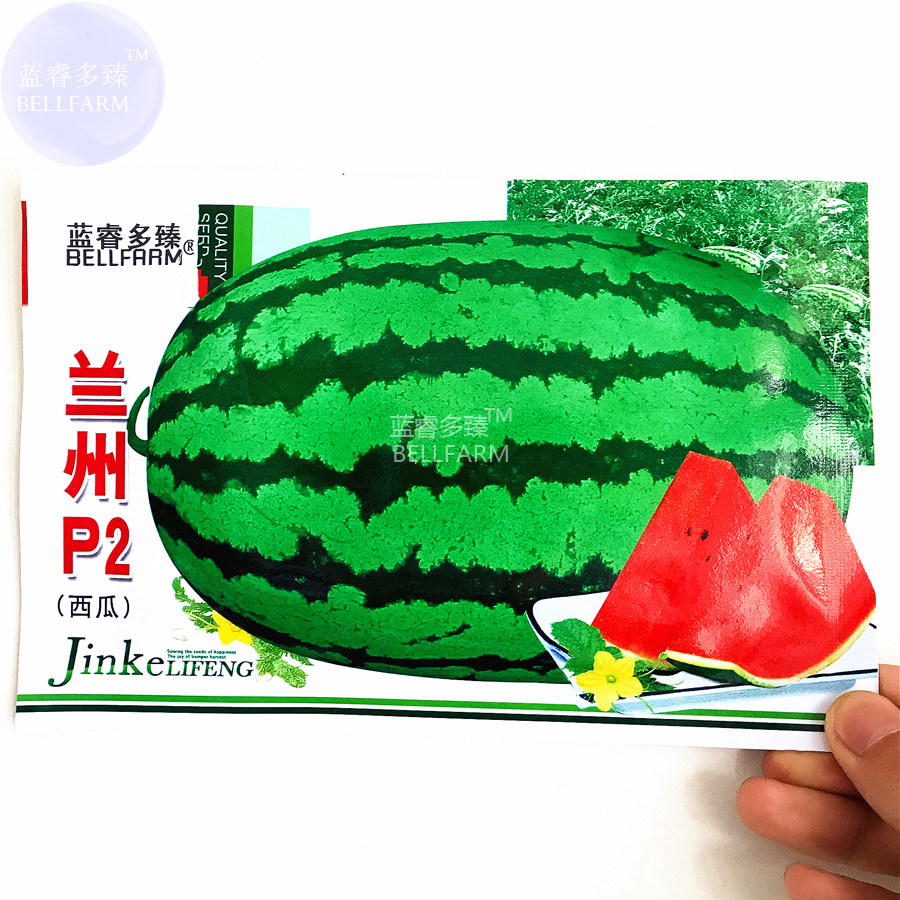 Lanzhou P2 Big Green Watermelon Seeds 70 Seeds - $7.99