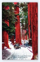 Road to Mount Rainier National Park Washington WA UNP DB Postcard Q5 - £16.84 GBP