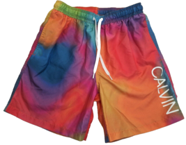 Calvin Klein Mens Rainbow Swim Trunks Shorts Elastic Waist Mesh Size Small - £20.67 GBP