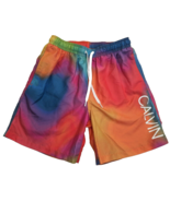 Calvin Klein Mens Rainbow Swim Trunks Shorts Elastic Waist Mesh Size Small - £20.36 GBP