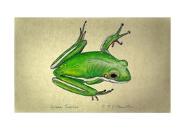 Betsy Drake Green Tree Frog 30 Inch By 50 Inch Comfort Floor Mat - £70.05 GBP