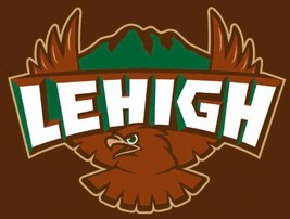 Lehigh Mountain Hawks Hand Flag 90cmx150cm/3x5FT - $18.00